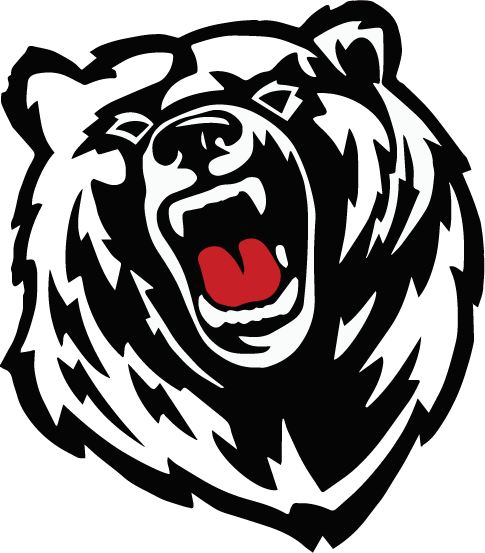 West Branch Volleyball Bears